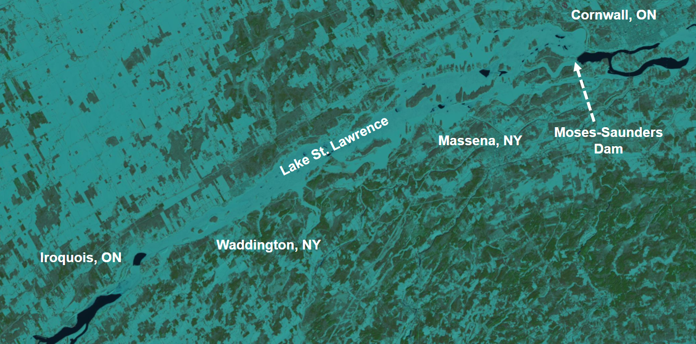 Lake St. Lawrence ice coverage, 2 February 2019 (satellite imagery:  USGS Landsat)
