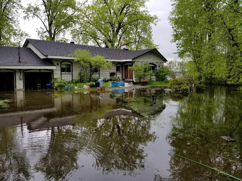 Figure 17: St. Lawrence River at Lake St. Louis, Maple Grove, Quebec, 2 June 2019 (source: International Joint Commission)
