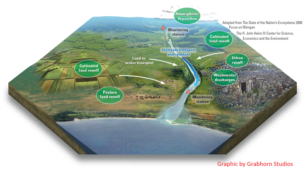SPARROW model graphic