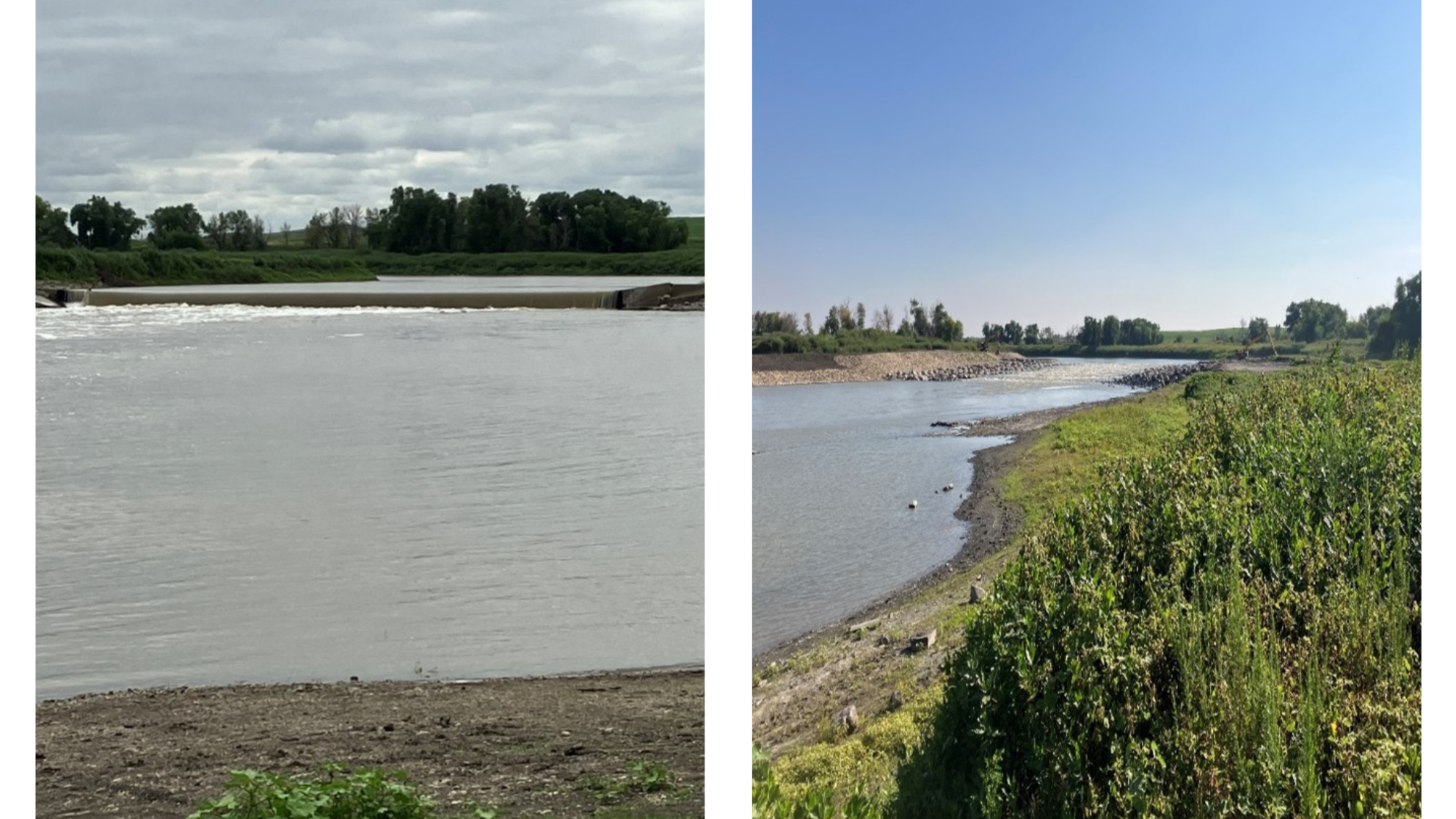 before after drayton dam fish