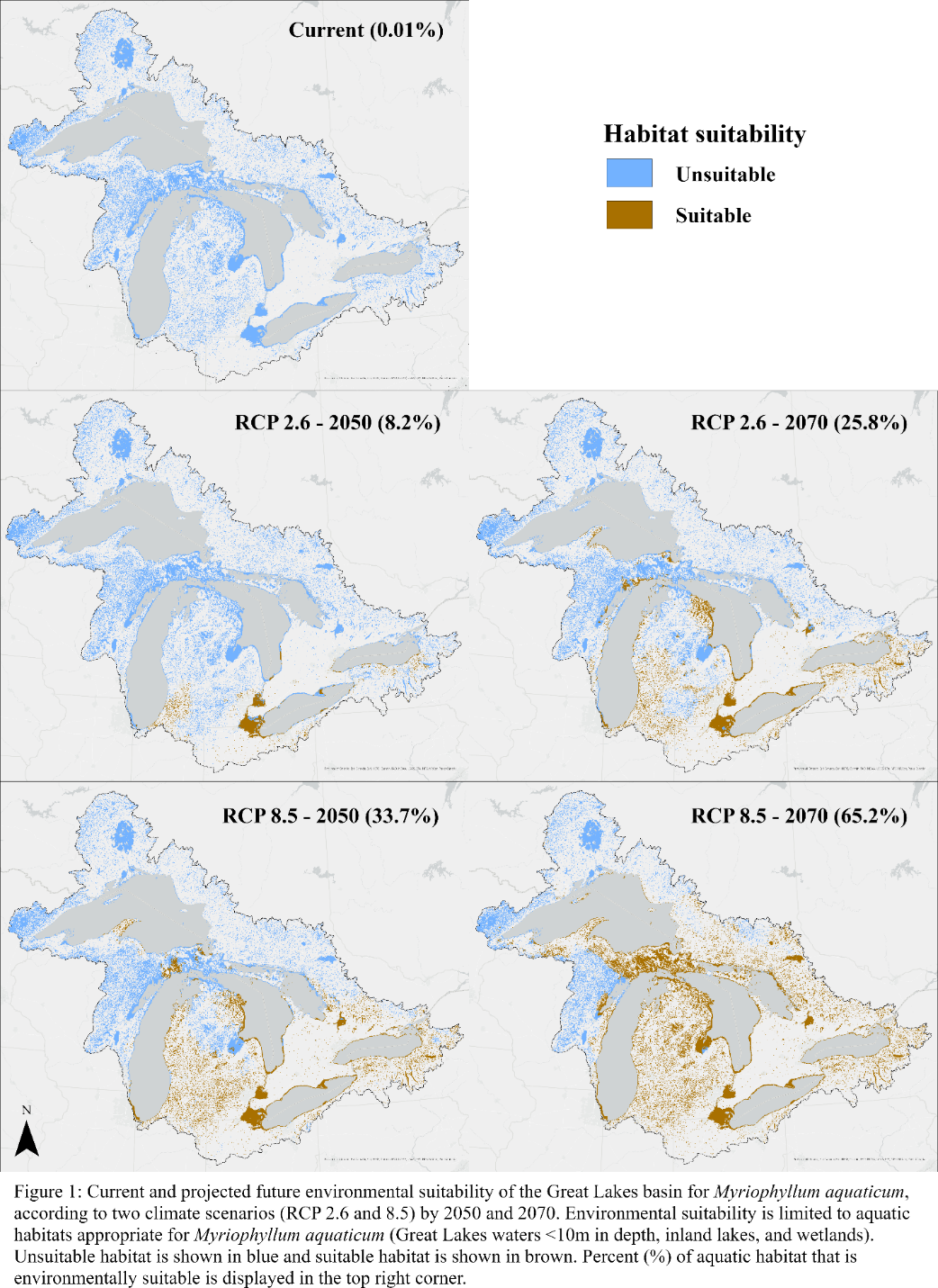 habitat projection parrots feather