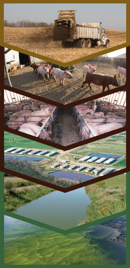 manure infographic snip