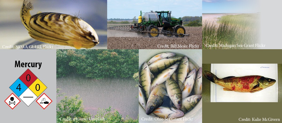 stressors collage 11 