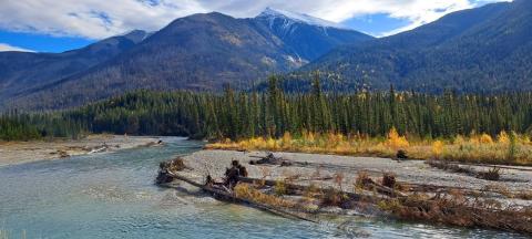 Kootenay River