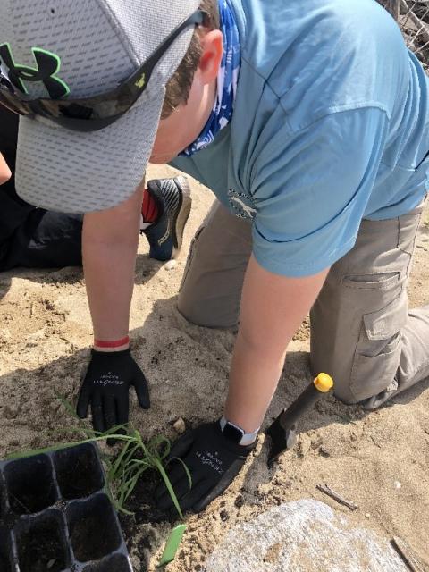 planting youth engagement