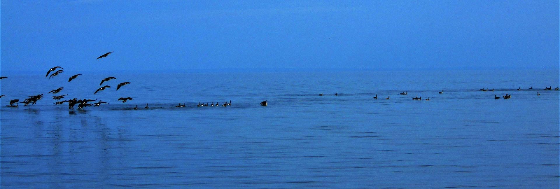 WQB landing page photo 2