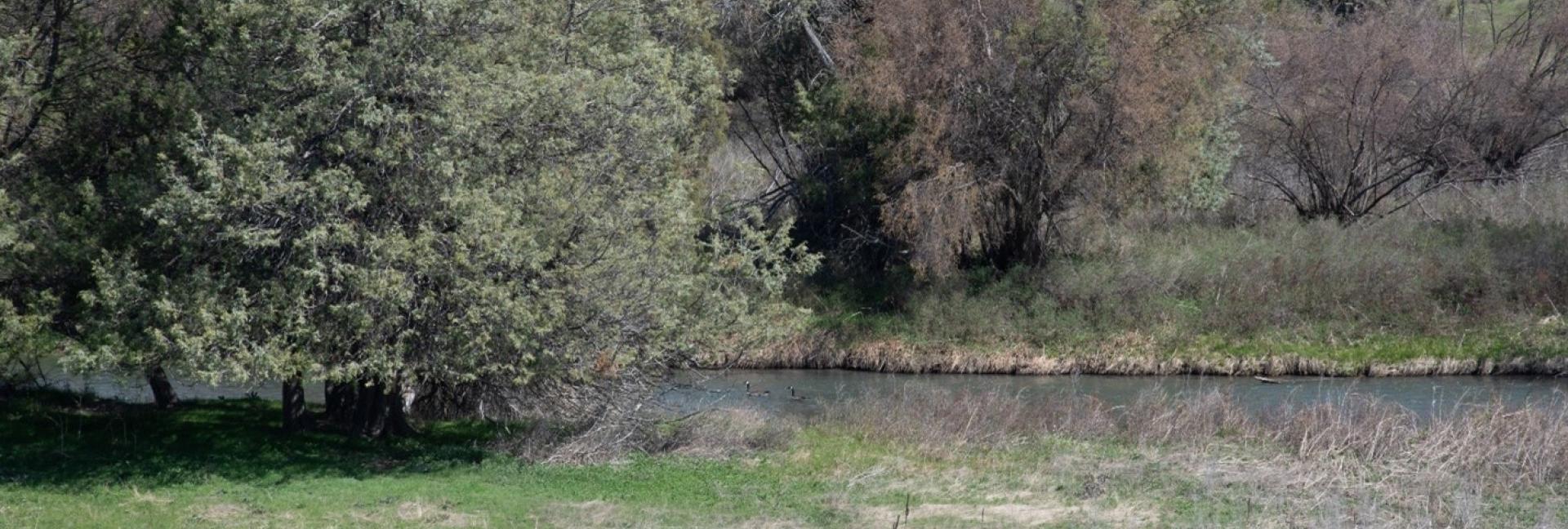 The Elk River near Lake Koocanusa