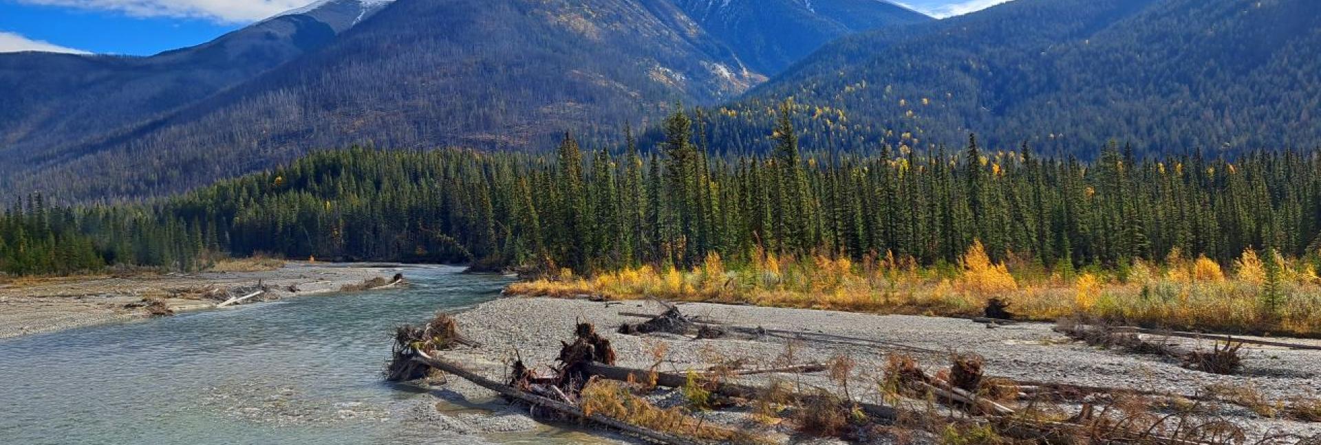 Kootenay River