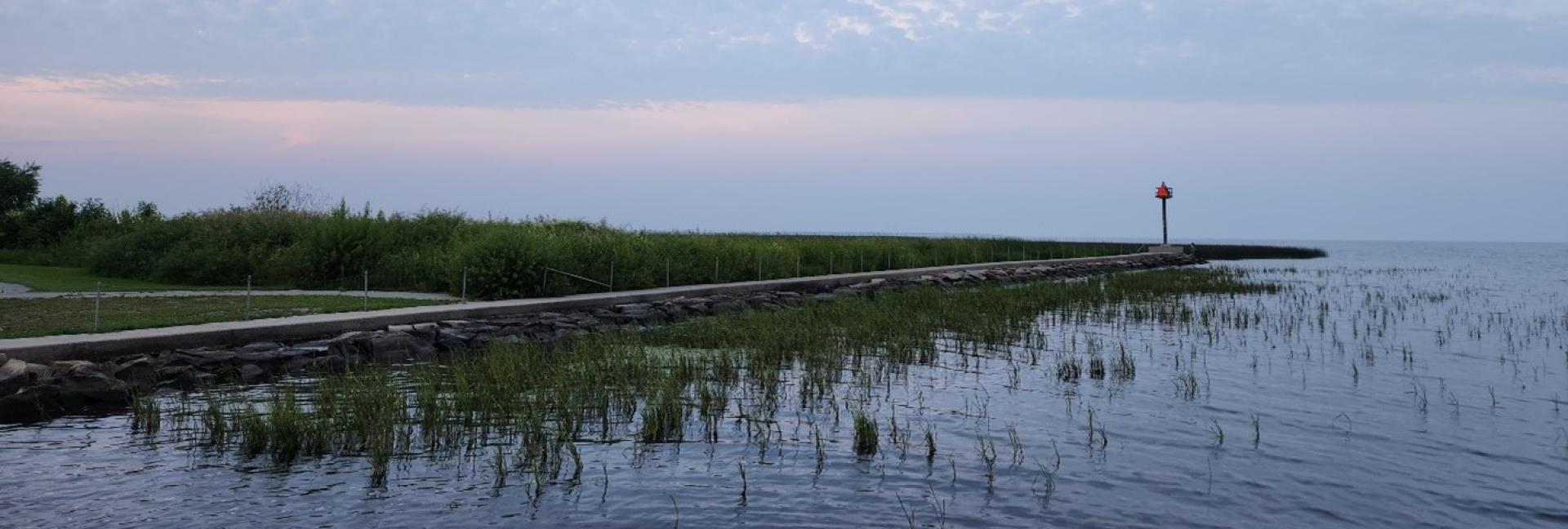 lake of the woods minnesota 