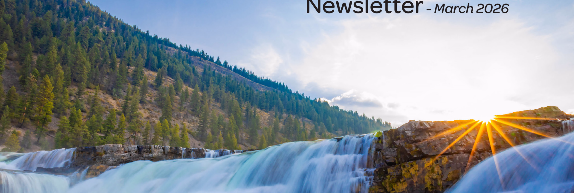 Cover of Winter 2026 Newsletter 