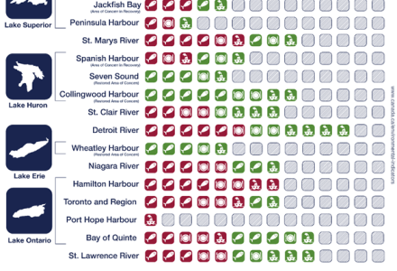 progress graphic aocs since 1987