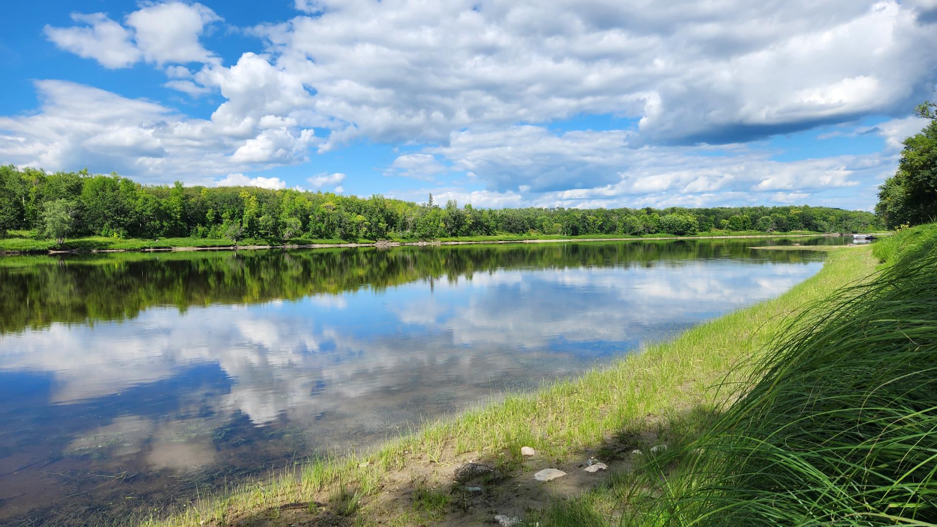 A beautiful view of Rainy River looking east from near Baudette, MN