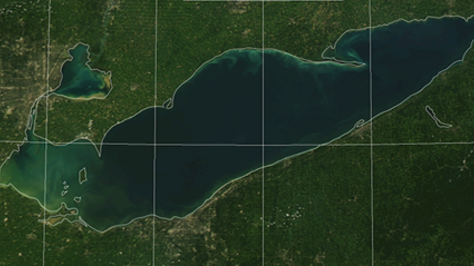 august 2023 modis algal blooms western lake erie