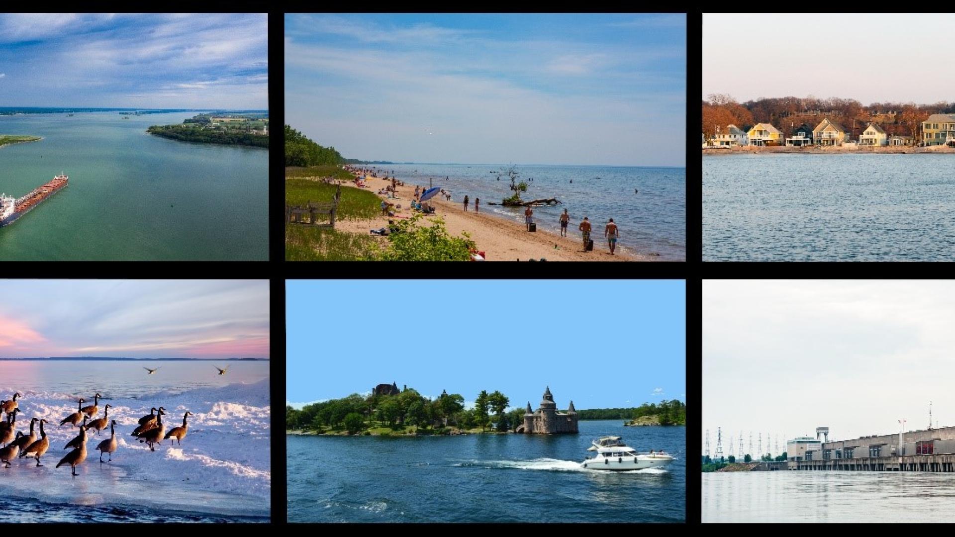 collage plan 2014 interests