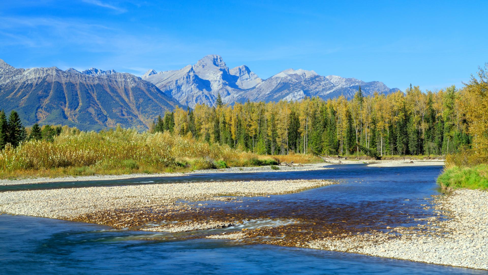 Picture of the Elk River in the southeastern Kootenay district of the Canadian province of British Columbia
