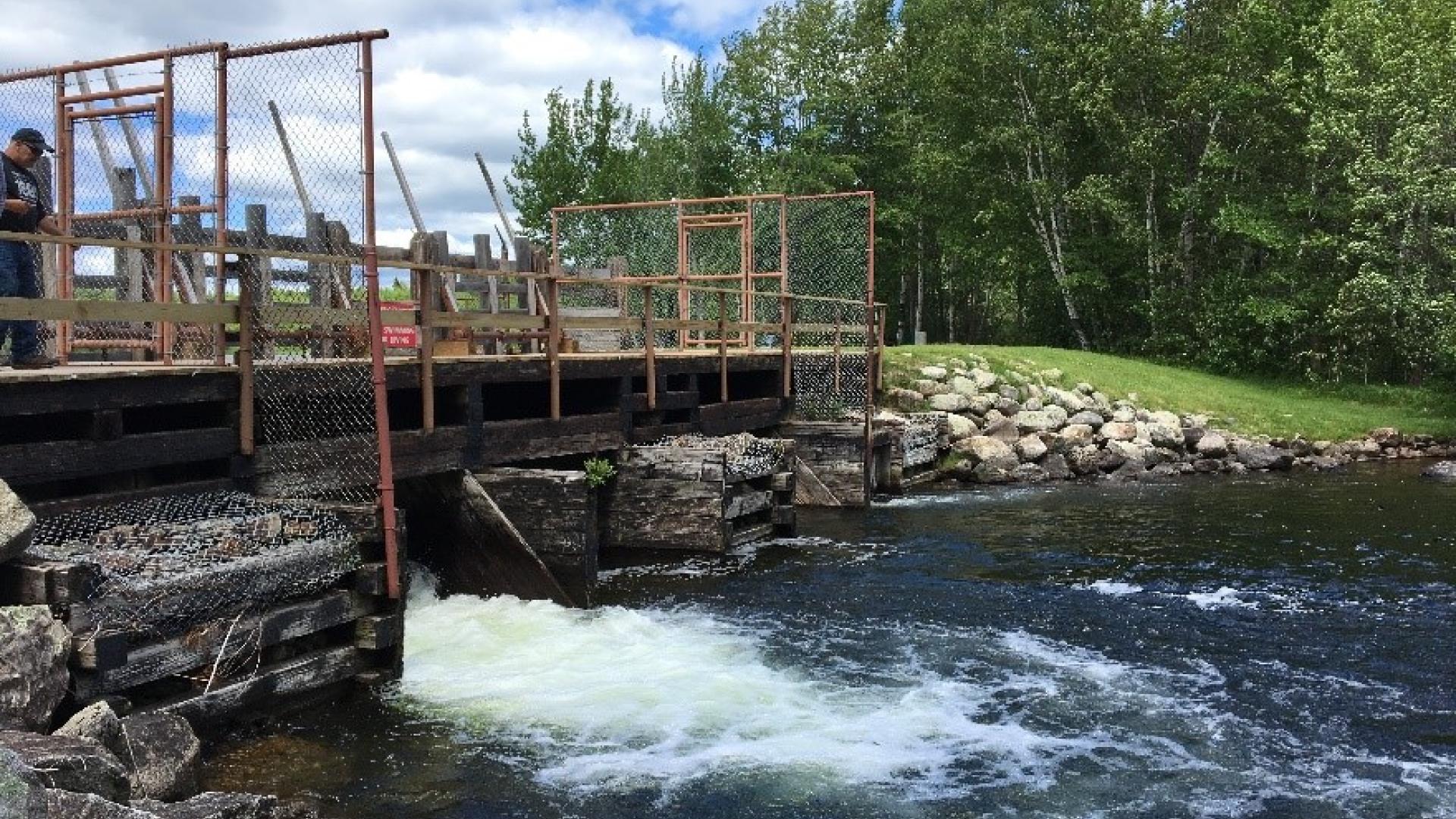 Forest City Dam on the St. Croix River
