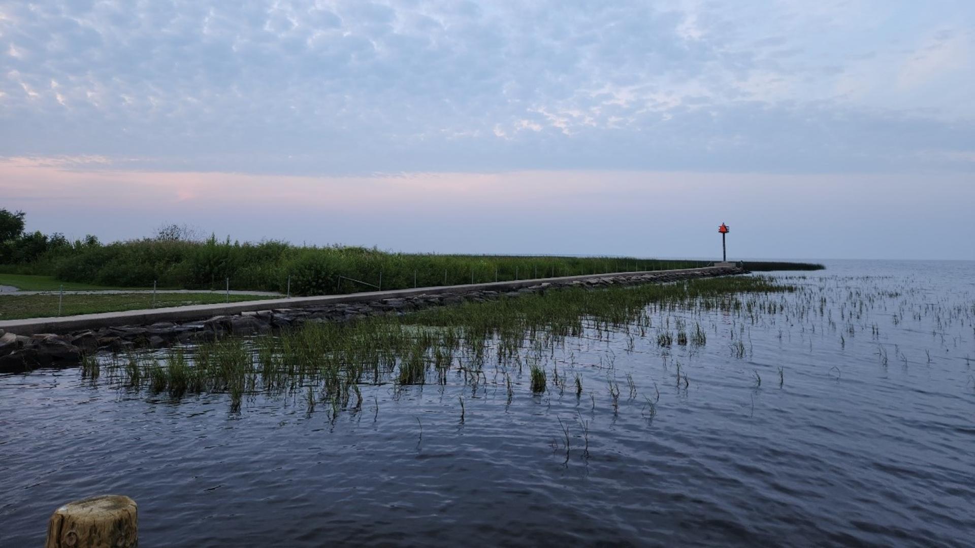lake of the woods minnesota 