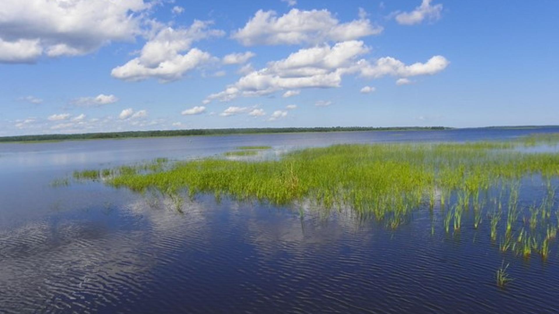 lake of the woods minnesota manitoba ontario