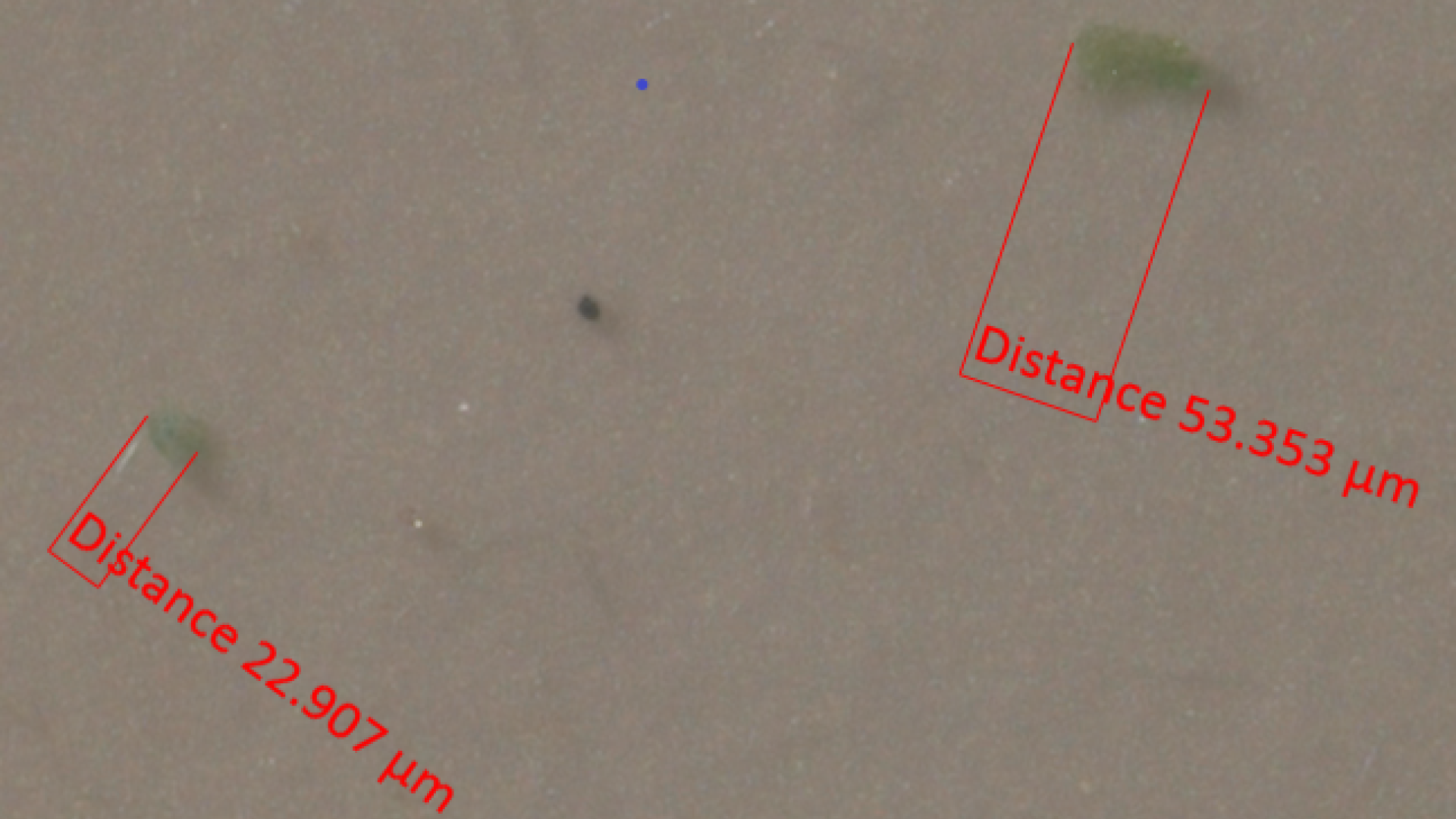 microplastics muskegon