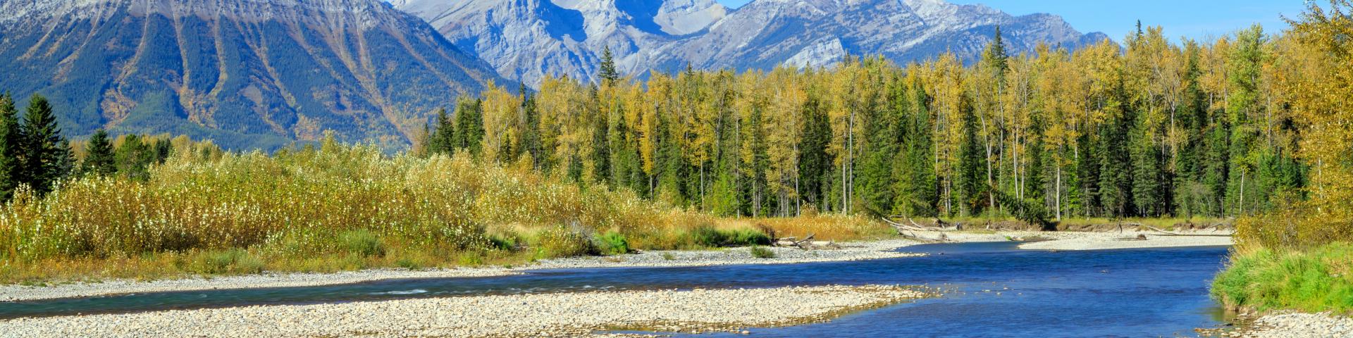 Picture of the Elk River in the southeastern Kootenay district of the Canadian province of British Columbia