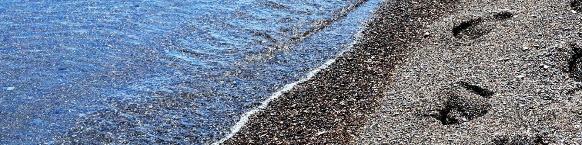 footsteps on the beach