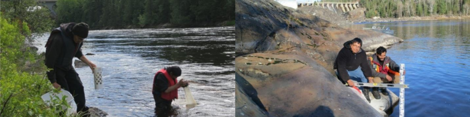 Seine River First Nation Sturgeon Spawning Project