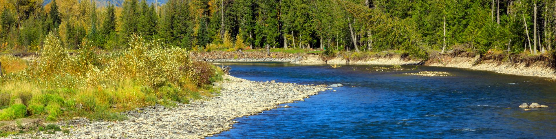 Elk River in Fernie, B.C.