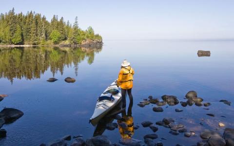 Cover of First TAP Report