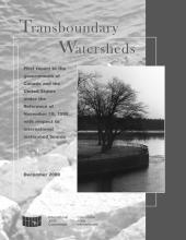 Cover image of the IWI's First Report to Governments